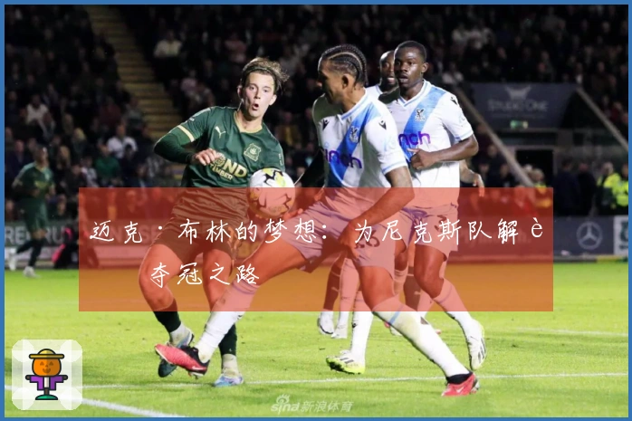 迈克·布林的梦想：为尼克斯队解说夺冠之路